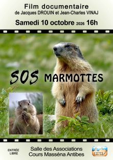 confmarmottes
